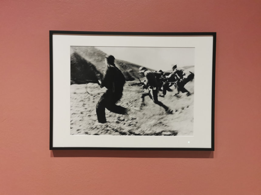 Capa and Taro exhibition