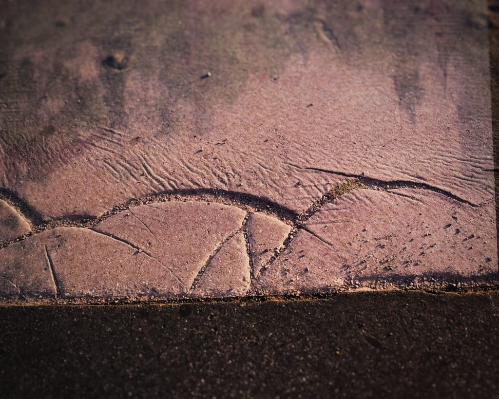 Concrete birds