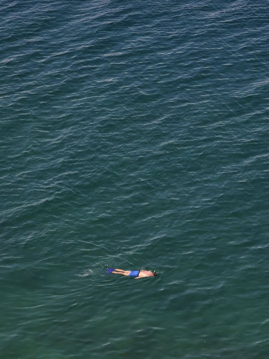 swimmer