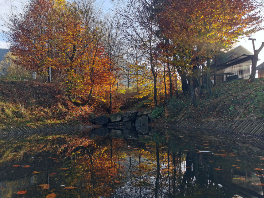 reflection