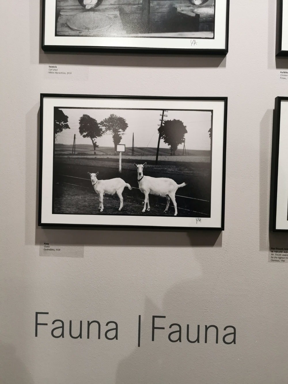 Gustav Aulehla - Well hidden photographs
